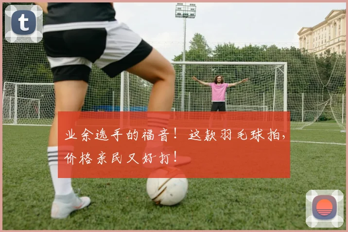 业余选手的福音!这款羽毛球拍,价格亲民又好打!