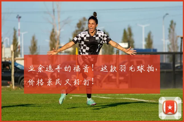 业余选手的福音!这款羽毛球拍,价格亲民又好打!