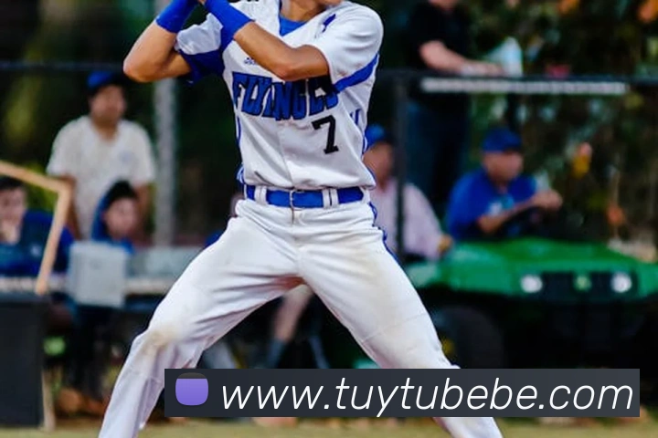 互动解说服务
